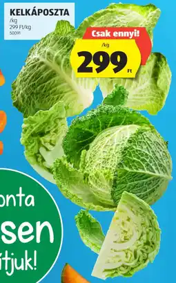 ALDI Kelkáposzta ajánlat