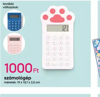 Pepco Számolgép ajánlat