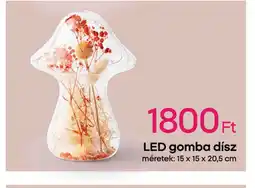 Pepco LED gomba dísz ajánlat