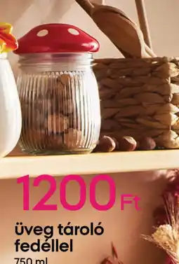 Pepco Üveg tároló fedéllel ajánlat