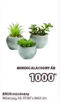 JYSK BROR műnövény ajánlat