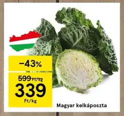 Tesco Magyar kelkáposzta ajánlat