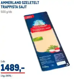 Metro Ammerland Szeletelt trappista sajt ajánlat