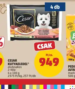 PENNY Cesar Kutyaeledel ajánlat