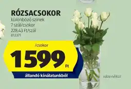 ALDI RÓZSACSOKOR ajánlat