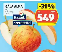 ALDI Gála alma ajánlat