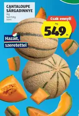 ALDI Cantaloupe Sárgadinnye ajánlat