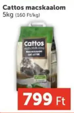 PRIVÁT Cattos macskaalom ajánlat
