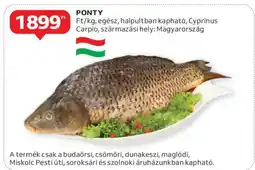 Auchan Ponty ajánlat