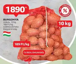 Auchan Burgonya ajánlat