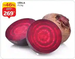 Auchan Cékla ajánlat