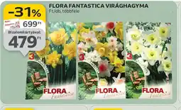 Auchan Flora Fantastica Virághagyma ajánlat