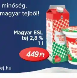 Real Magyar ESL tej 2,8% ajánlat