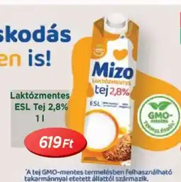 Real Mizo Laktzmentes ESL Tej 2,8% ajánlat
