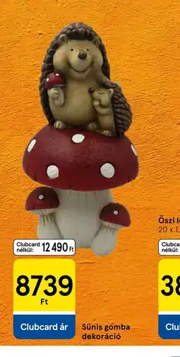Tesco Sünis gomba dekoráci ajánlat