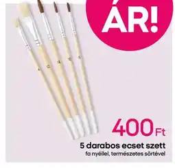 Pepco 5 darabos ecset szett ajánlat