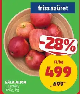 PENNY Gála alma ajánlat