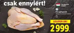 Lidl Friss gyöngytyúk ajánlat