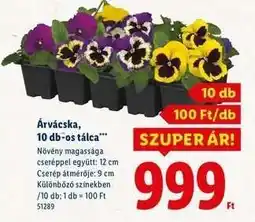 Lidl Árvácska, 10 db-os tálca ajánlat