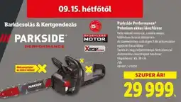 Lidl PARKSIDE PERFORMANCE Prémium akkus láncfűrész ajánlat