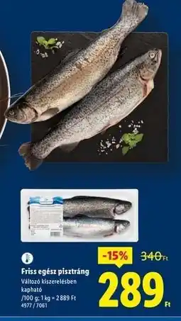 Lidl Friss egész pisztráng ajánlat