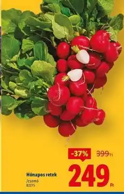 Lidl Hónapos retek ajánlat