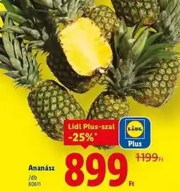Lidl Ananász ajánlat