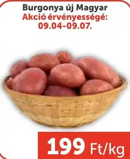 PRIVÁT Burgonya új Magyar ajánlat