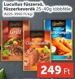 PRIVÁT Lucullus fűszersó, fűszerkeverék ajánlat