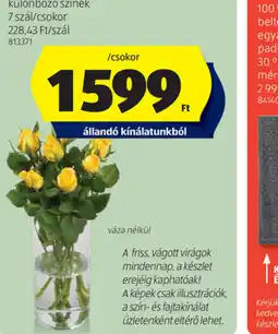 ALDI Rzsacsokor ajánlat
