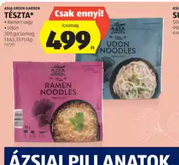 ALDI Asia Green Garden Tészta ajánlat