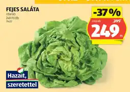 ALDI Fejes Saláta ajánlat
