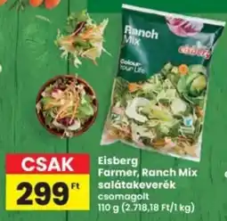 Interspar Eisberg Farmer, Ranch Mix salátakeverék ajánlat