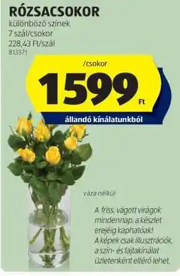 ALDI RÓZSACSOKOR ajánlat