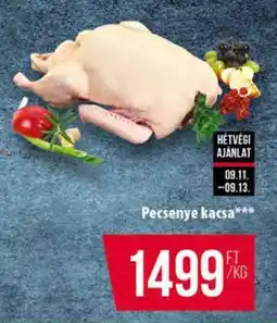 Coop Pecsenye Kacsa ajánlat