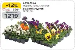 Auchan Árvácska ajánlat