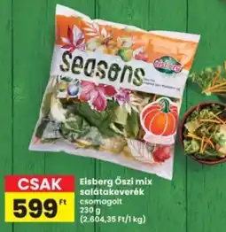 Interspar Eisberg Őszi mix salátakeverék ajánlat