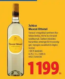 Lidl JUHÁSZ Muscat Ottonel ajánlat
