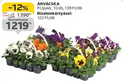 Auchan Árvácska ajánlat