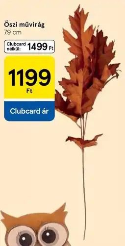 Tesco Őszi művirág ajánlat
