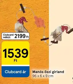 Tesco Manós őszi girland ajánlat