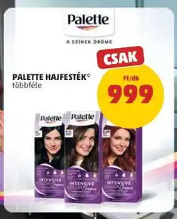 PENNY Palette Hajfesték ajánlat