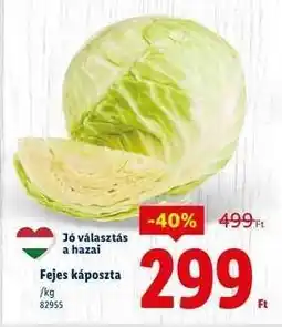 Lidl Fejes káposzta ajánlat