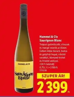 Lidl Hammel&Cie Sauvignon blanc ajánlat