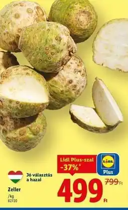 Lidl Zeller ajánlat