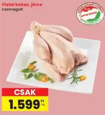 Interspar Fiatal kakas, jérce ajánlat