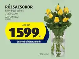 ALDI RÓZSACSOKOR ajánlat