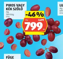 ALDI Piros vagy kék szőlő ajánlat