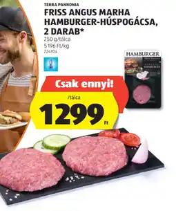 ALDI Terra Pannonia Friss Angus Marha Hamburger-Húspogácsa ajánlat