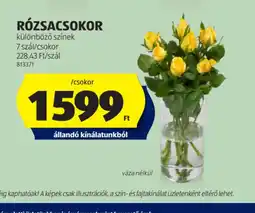 ALDI Rzsacsokor ajánlat